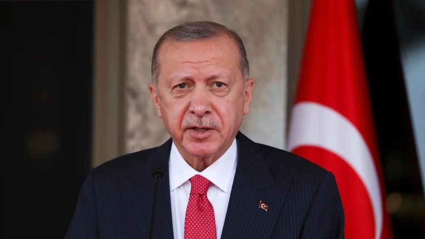 سیاستمدار ارشد ترکیه: اردوغان باید محاکمه شود