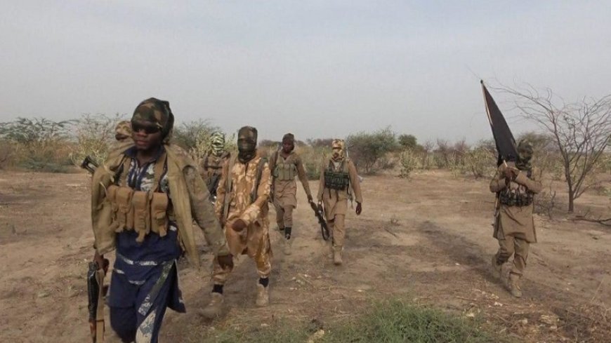 نظامیان نیجر: فرانسه تروریست‌ها را آزاد کرده است