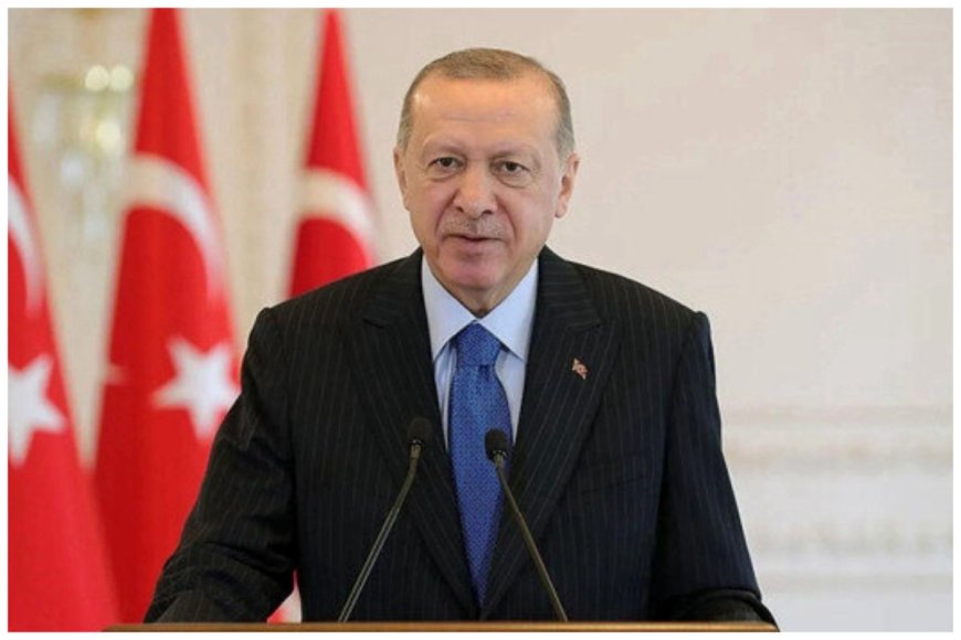 اردوغان: ترکیه نیازی به حمایت یا کمک اتحادیه اروپا ندارد