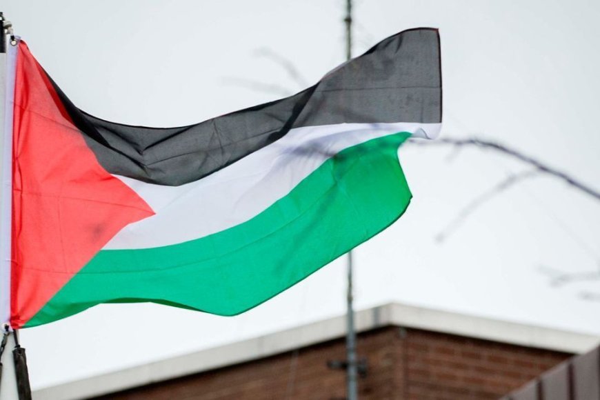 اهتزاز پرچم فلسطین بر فراز ساختمان شورای شهر دوبلین