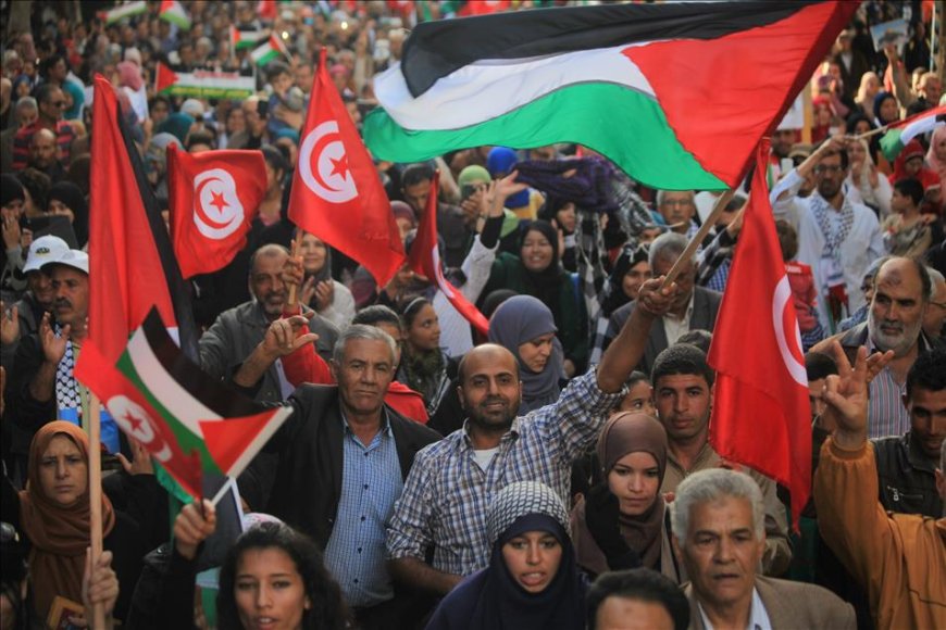 تظاهرکنندگان تونسی خواستار اخراج سفیر آمریکا شدند