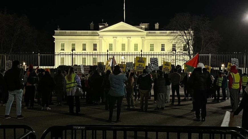 تظاهرات علیه حمله به یمن در برابر کاخ سفید