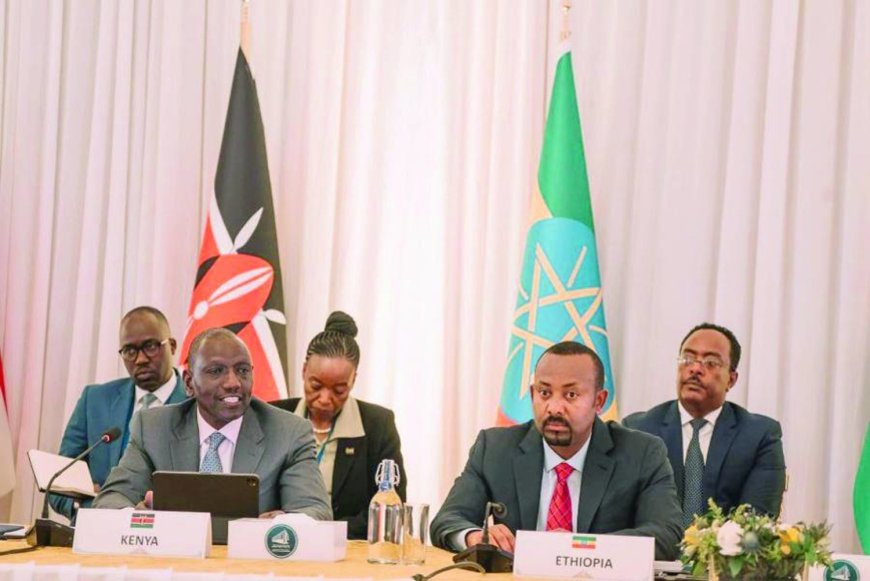 تعلیق همکاری سودان با «ایگاد»