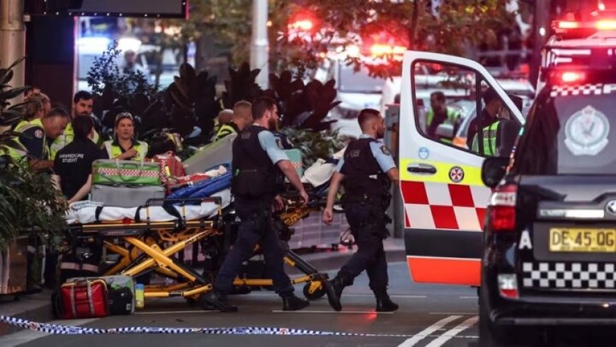 افزایش شمار قربانیان چاقوکشی در سیدنی